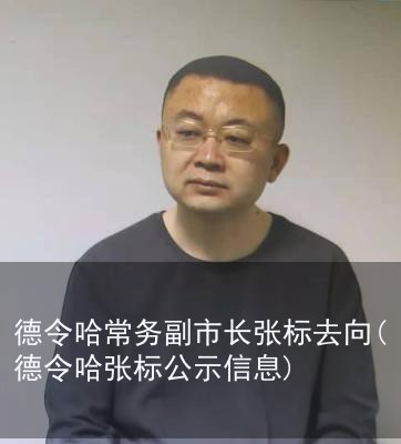 德令哈常务副市长张标去向(德令哈张标公示信息)